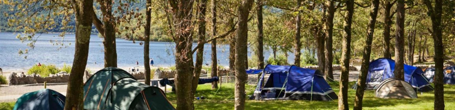 tents-pitched-at-the-edge-of-forest-at-salloch-bay-on-loch-lomond