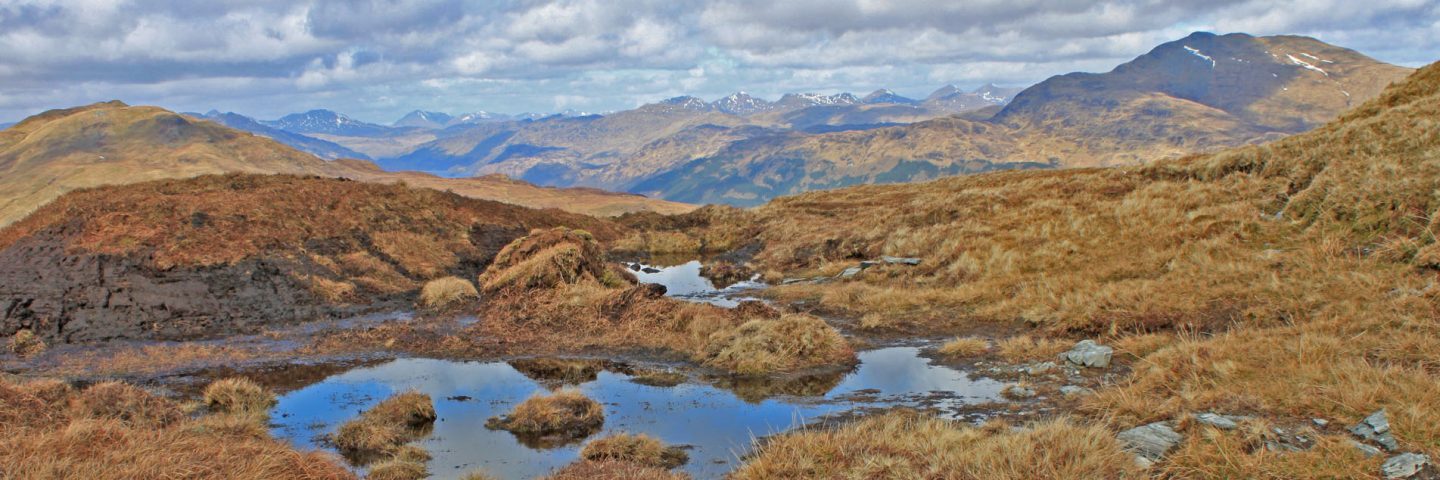 mountain-bog-pool-and-mountain-panorama