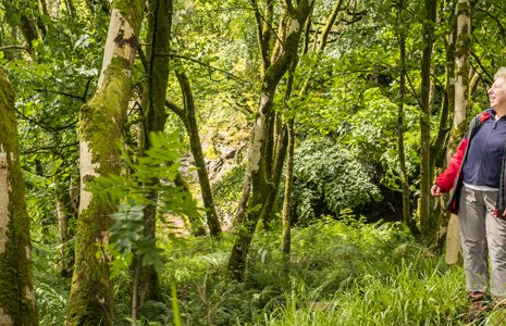 two-older-women-admiring-lush-forest-from-the-path