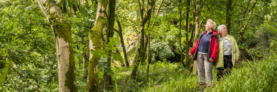 two-older-women-admiring-lush-forest-from-the-path