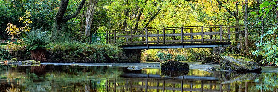 small-bridge-across-river-trees-in-background