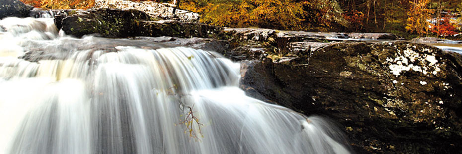breadalbane charmstone breadalbane charmstone