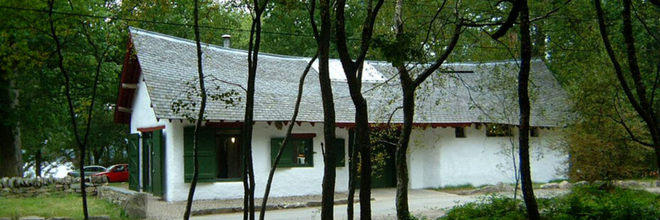 rowardennan-toilet-block-among-trees-white-building-with-green-shutters