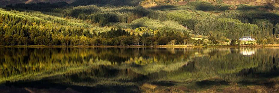 view-forested-hillside-refelecting-on-water