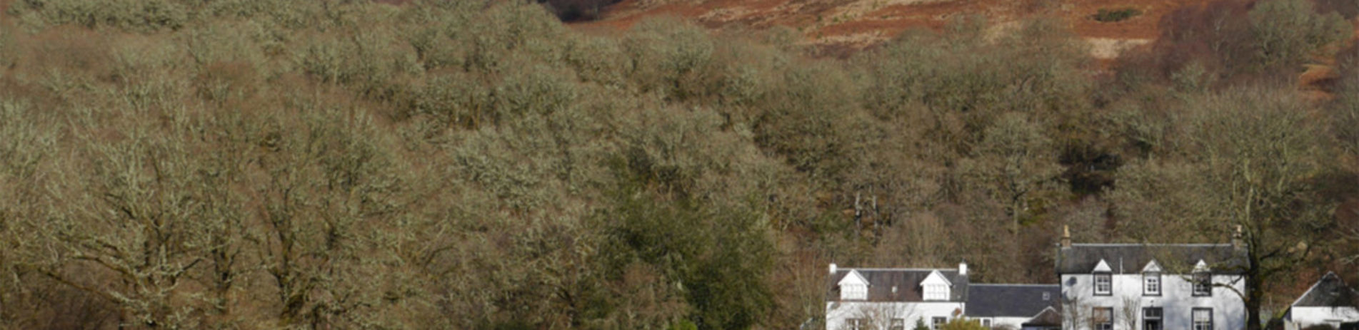 strathard-farm-old-white-buildings-surrounded-by-bare-trees-at-edge-of-field