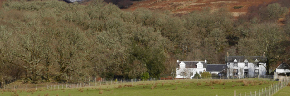 strathard-farm-old-white-buildings-surrounded-by-bare-trees-at-edge-of-field