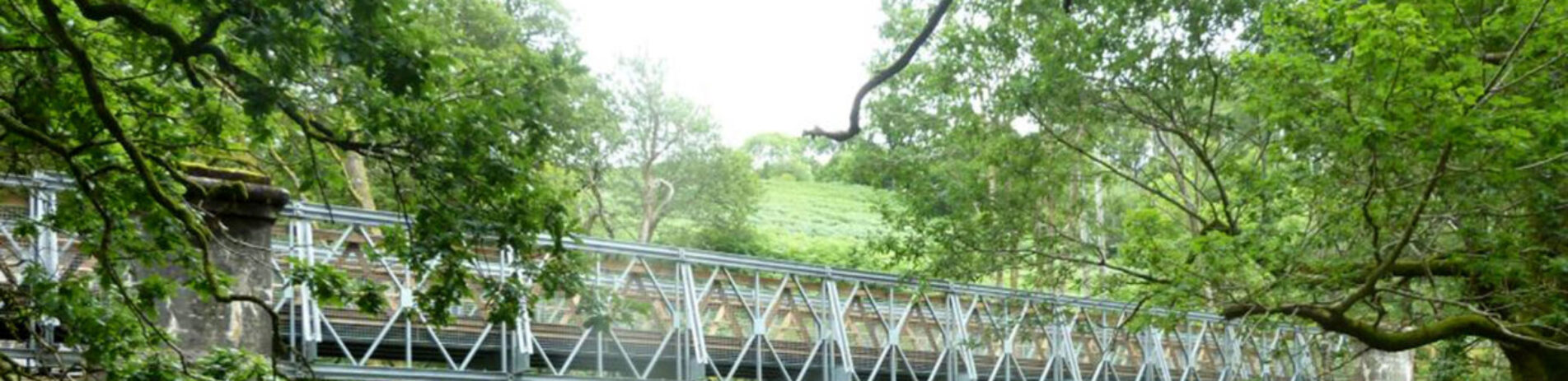 close-up-on-metal-bridge-surrounded-by-green-oaks