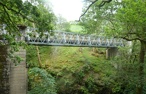 bridge-with-trees-on-either-side