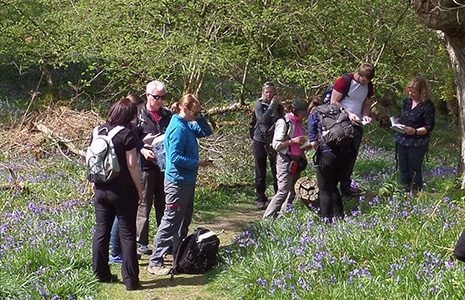 volunteers-looking-at-wild-flowers