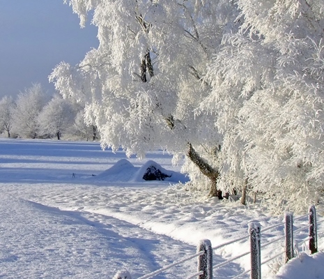 loch lomond day visit golf-course-with-trees-covered-with-snow-