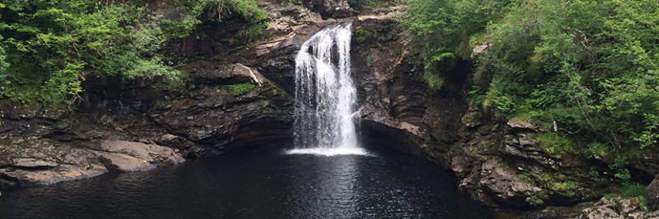 waterfall-surrounded-by-trees