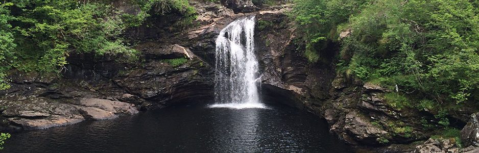 waterfall-surrounded-by-trees