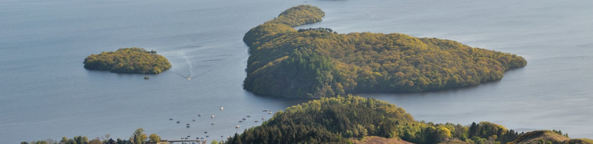 arial-view-of-island-covered-with-trees