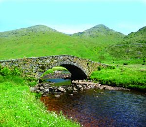 Butterbridge2 - Ceci