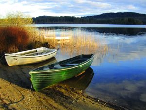 Million Dollar Light at Loch Ard