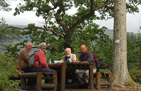 three-elder-men-and-woman-sitting-at-wooden-picnic-bench-next-to-trees