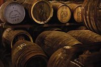 whisky-barrels-lined-up-in-distillery-room