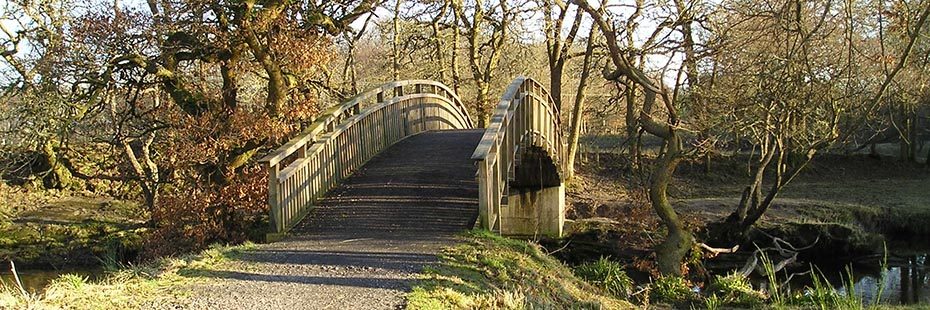 arched-bridge-over-stream-trees-on-other-bank-late-autumn-trees-bare