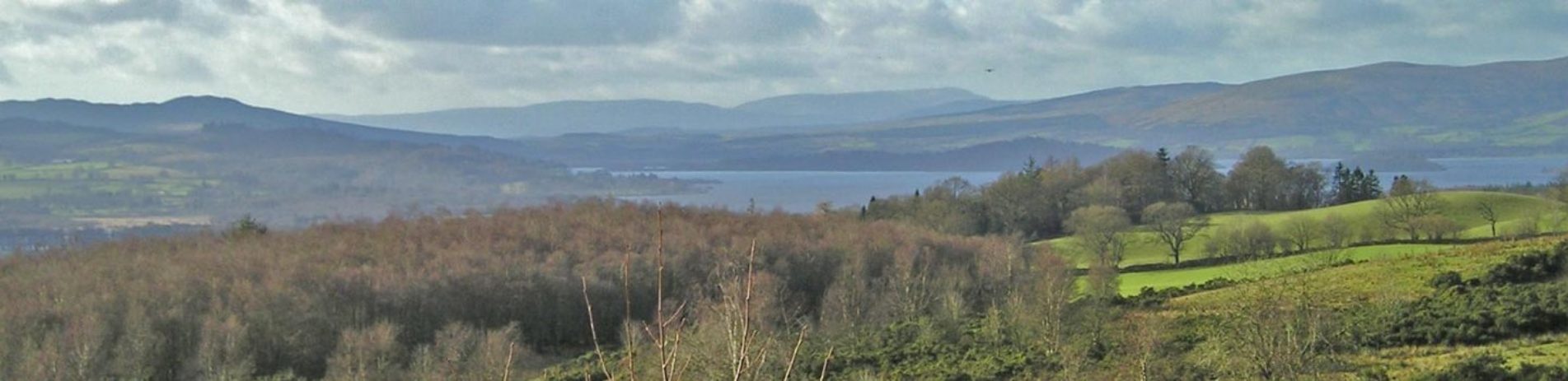 view-of-loch-lomond-and-bare-native-forests-from-high-point-in-south-east-loch-lomond