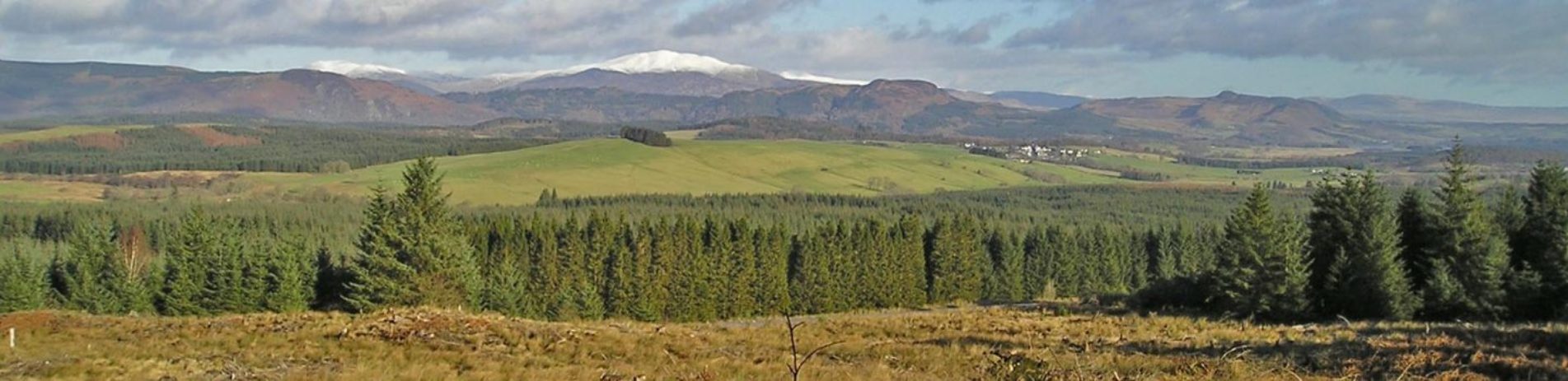 stunning-landscape-of-coniferous-plantations-and-high-hills-behind-some-covered-by-snow-with-sunshine-draping-everything