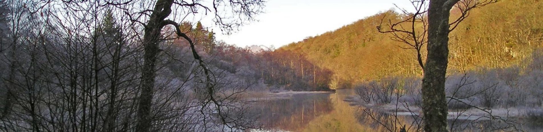 late-autumn-morning-forest-in-warm-tones-in-sunshine-with-frosty-loch-shores