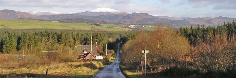view-of-one-way-countryside-track-surrounded-by-coniferous-plantations-on-both-sides-and-hills-in-the-distance-some-with-snow-on-top