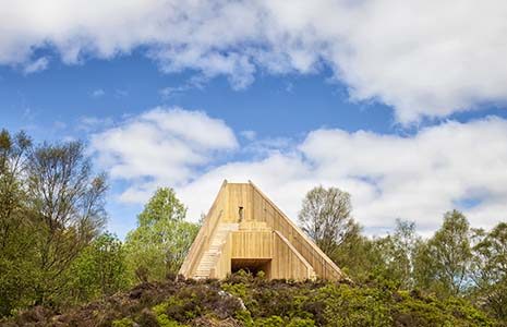 wooden-viewpoint-surrounded-by-bushes-and-trees