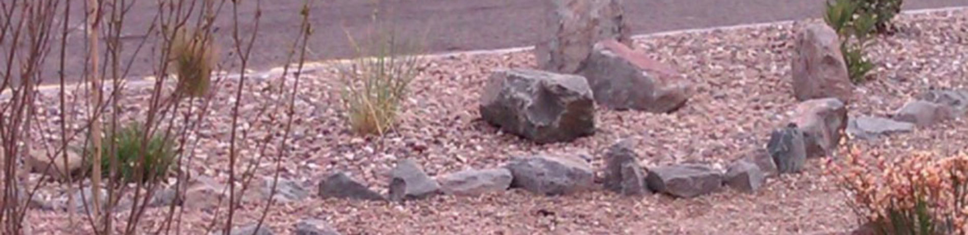 gravel-path-with-plants-and-boulders