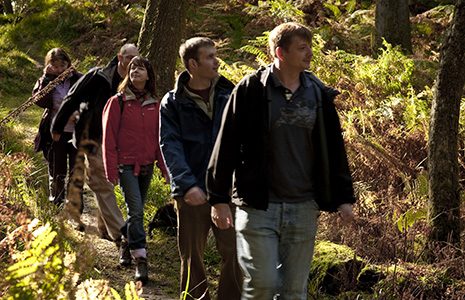 group-walking-through-forest