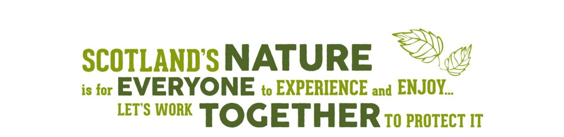 make-nature-yours-logo