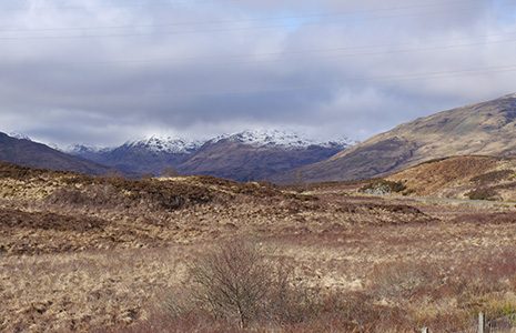 dried-grassland-and-snow-covered-mountains