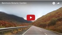 benmore-botanic-garden-vlogger-youtube-video-screenshot-preview