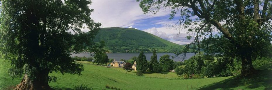 loch-and-forest-covered-mountian-seen-through-trees