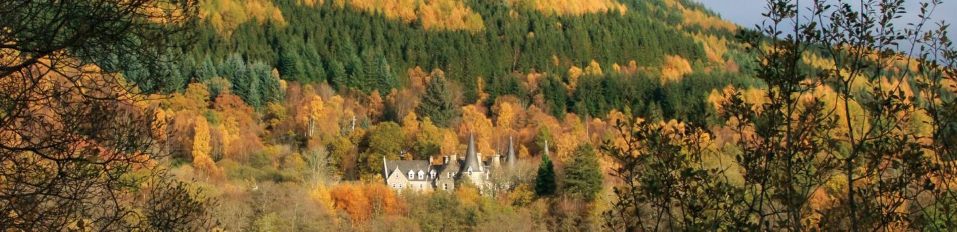 building-surrounded-by-autumn-trees