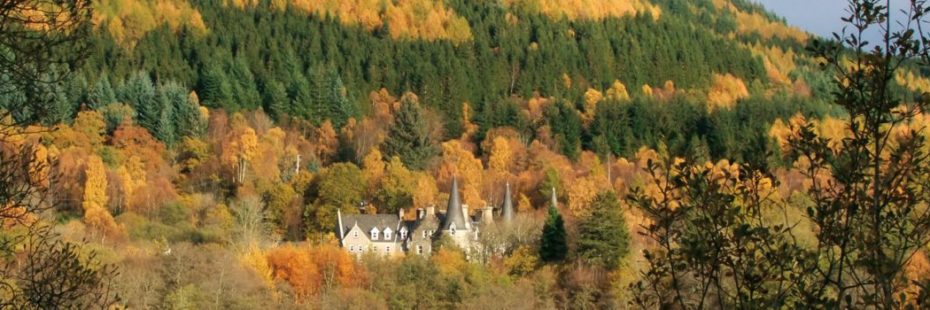 building-surrounded-by-autumn-trees