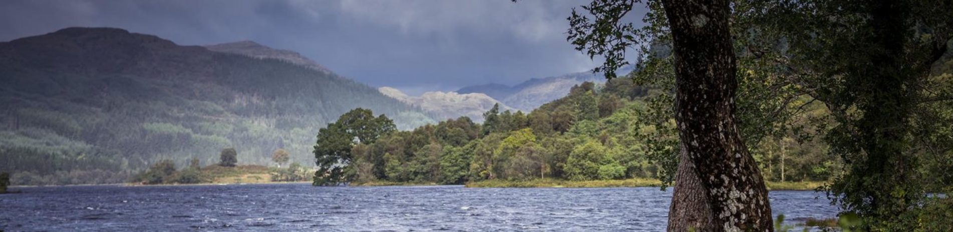 loch-chon-panorama-and-surrounding-forested-hills