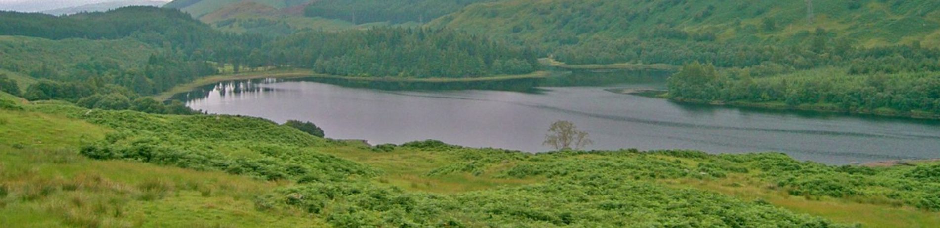 panoramic-of-loch-and-forest