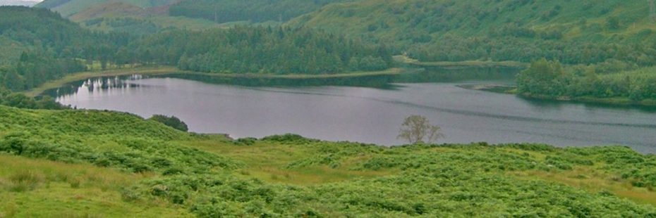 panoramic-of-loch-and-forest