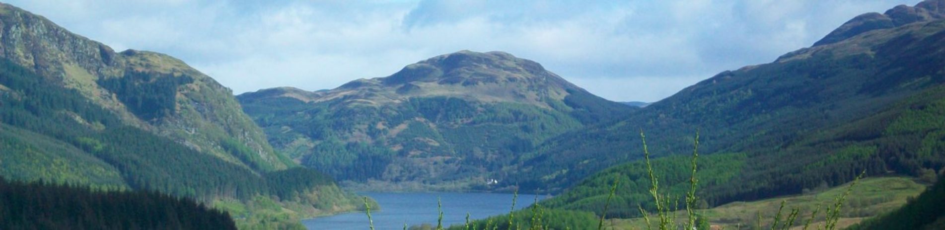 panoramic-loch-forest-mountains