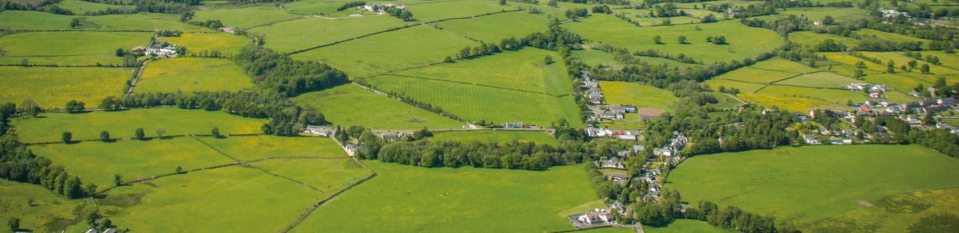 aerial-view-fields-trees-and-village