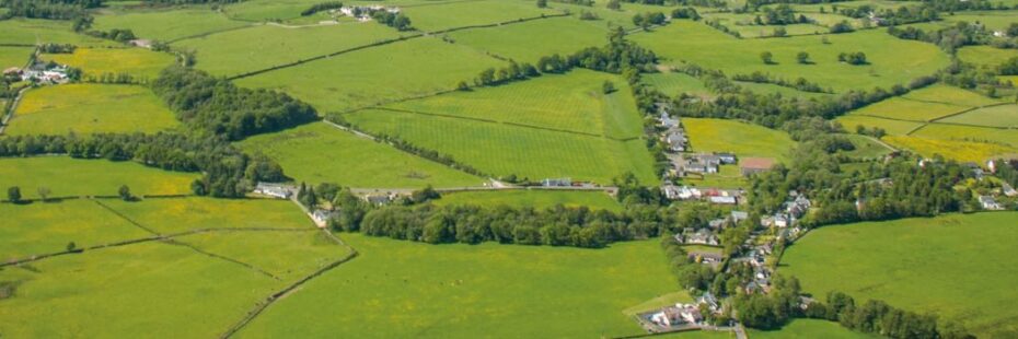 aerial-view-fields-trees-and-village