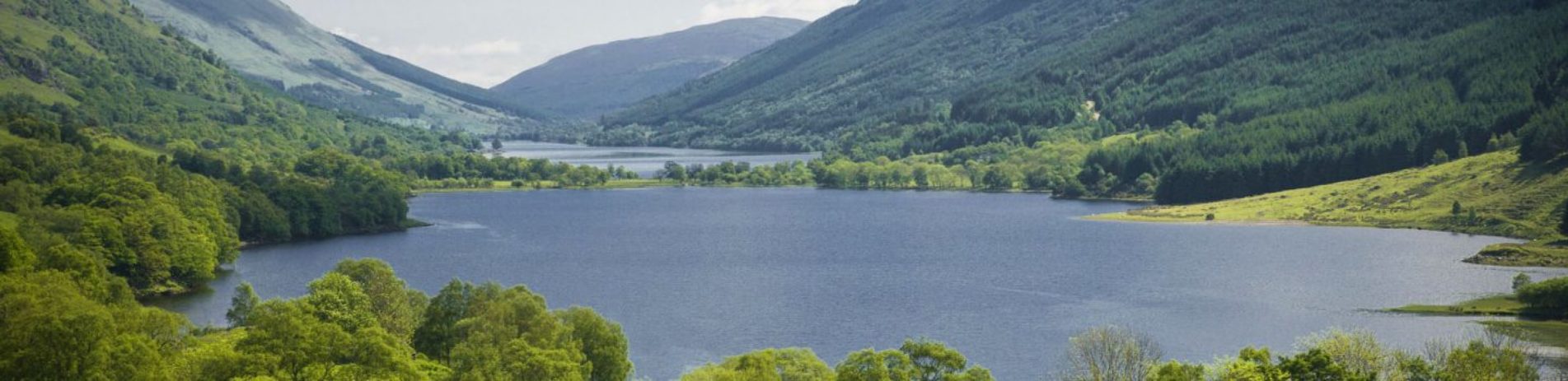 large-loch-tree-covered-sides