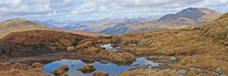 muddy-bog-with-mountain-background