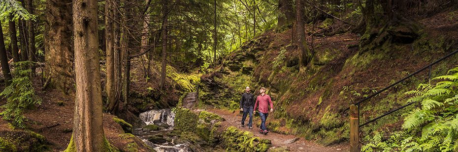 pucks-glen-lush-coniferous-lush-green-forest-two-men-walking-on-path-alongside-stream
