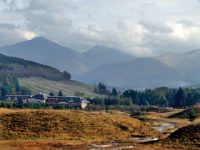 tyndrum-and-glen-falloch-pine-forest-remains-view-south-west