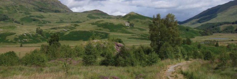 crianlarich-community-woodland-native-species-next-to-foot-path-hills-in-the-distance