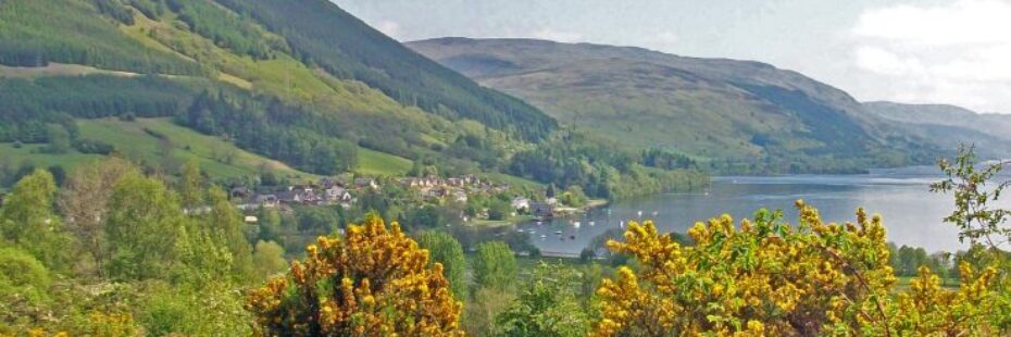 lochearnhead-village-and-loch-earn-visible-above-yellow-bushes-of-gorse-forested-hills-on-left