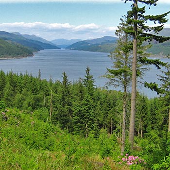view-over-forests-to-loch-long-and-surrounding-high-hills-on-blue-skies-summer-day
