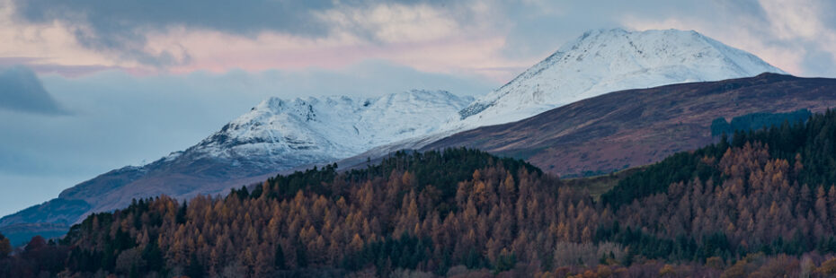 snowy-ben-lomond-overlooks-conifer-forest-near-balmaha