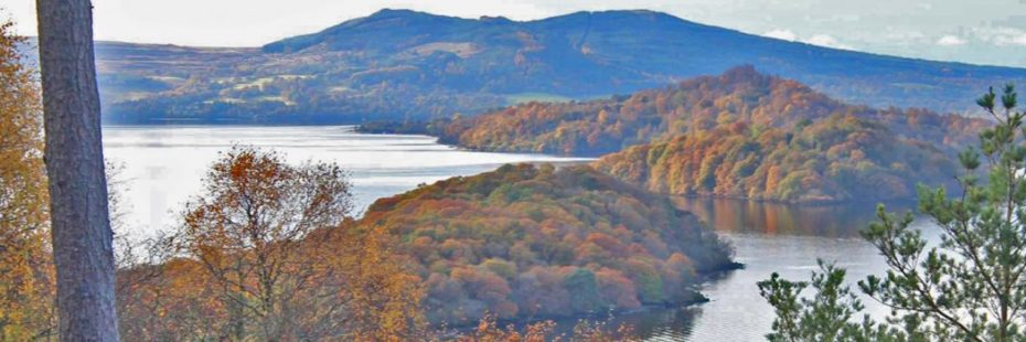 stunning-islands-on-lomond-covered-by-forests-alight-in-autumnal-colours-seen-from-inchcailloch-island-summit